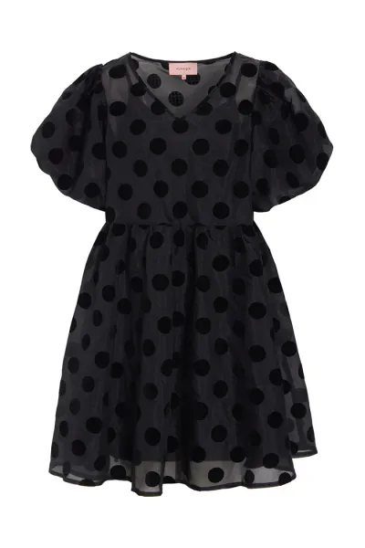 Hovedbilde Bobby dress