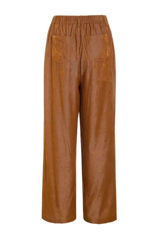 Andy pants brown